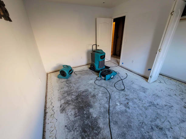 Best Water damage restoration near me  in Bartlett, TN