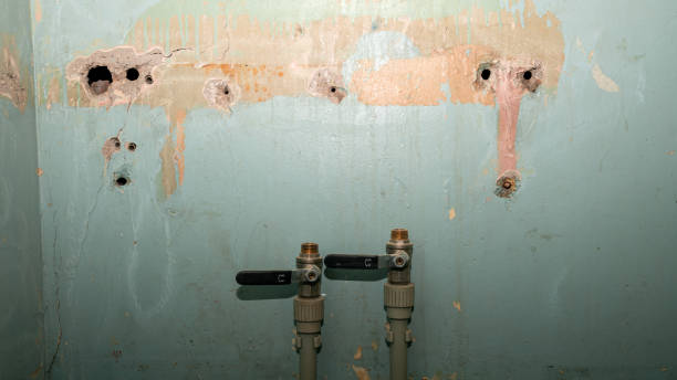 Best 24-hour water damage restoration  in Bartlett, TN